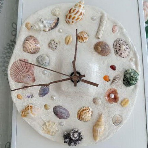 Anomiidae shells collection new, pack of 26 for decoration and crafts