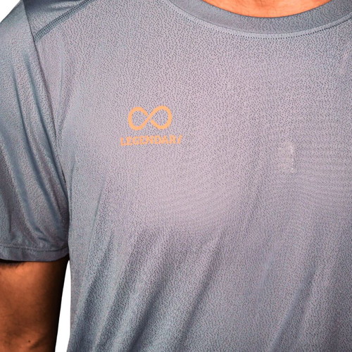 Legendary T-shirt gray size L new, nylon-spandex blend