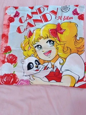 Candy Candy pillowcase new polyester with zipper