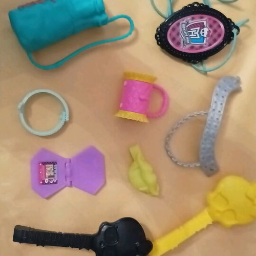 Monster High accessories used