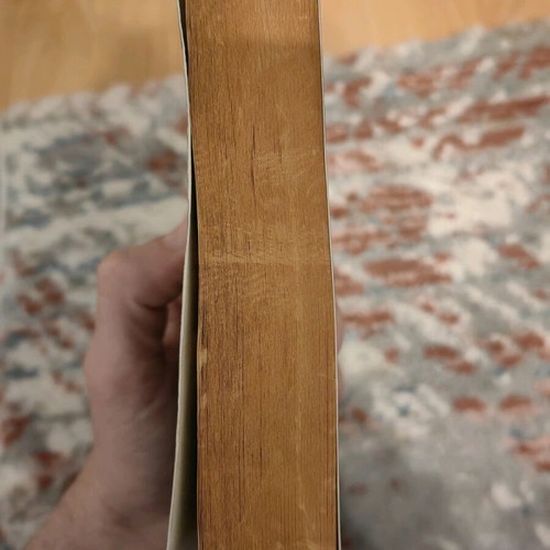 The Green Politics used book