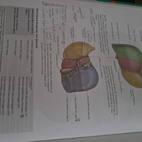 Sobotta Atlas of Human Anatomy Volumes A & B like new, Greek