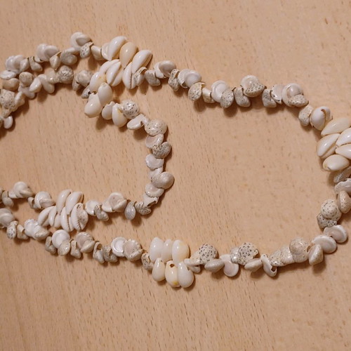 Long handmade necklace from real vintage shells used