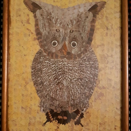 Collage painting used with owl made of butterfly wings 43x33cm
