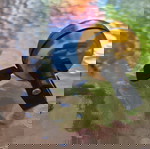 Κουδούνι ποδηλάτου καινούριο αχρησιμοποίητο