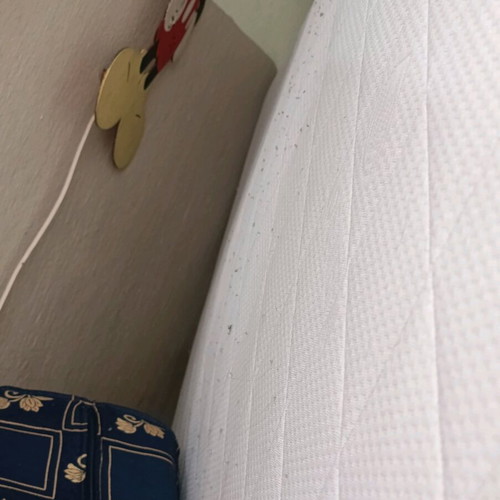 Mattress and metal bed used