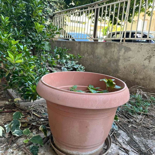Flower pots used, pack of 2 green and 2 brown