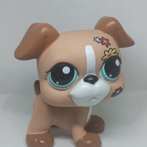 Littlest Pet Shop Jumbo Boxer Dog figure like new, collectible Hasbro
