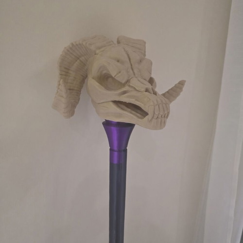 Havoc Staff Skeletor 3D Printed New