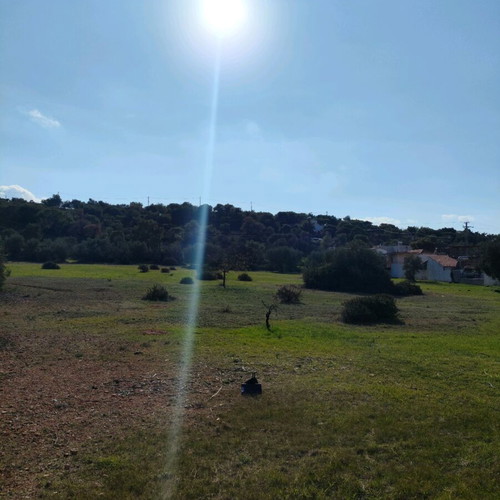 Land plot 9 acres in Vasilika Salamina, buildable, residential area