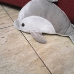 Large plush dolphin like new