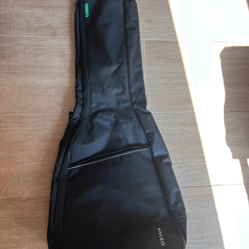 Bass guitar case