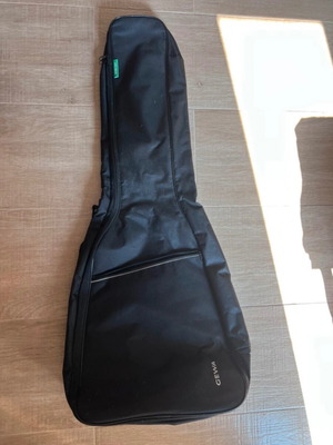 Bass guitar case