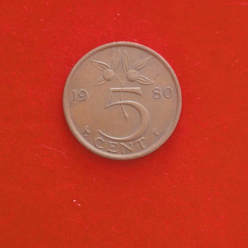 Netherlands 5 Cents Coin used