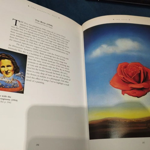Essential Dali book by Kirsten Bradbury, English