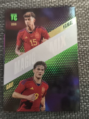 Panini Top Class 2024 No233 like new