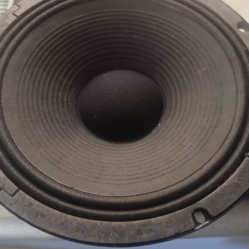 Leem 10" speakers used, pack of 2, 50W 8Ω for guitar amps
