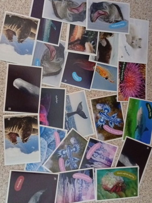 AB Ocean Exploration Stickers 24 Small, New