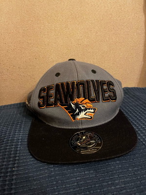 Καπέλο New Era Seawolves πολύχρωμο σαν καινούριο