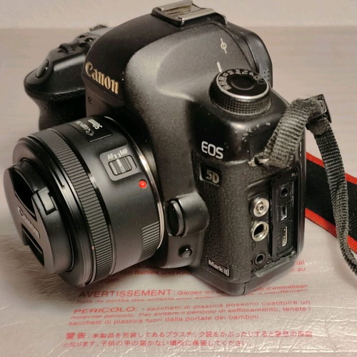 Canon 5D Mark II camera and EF 50mm f/1.8 STM lens used