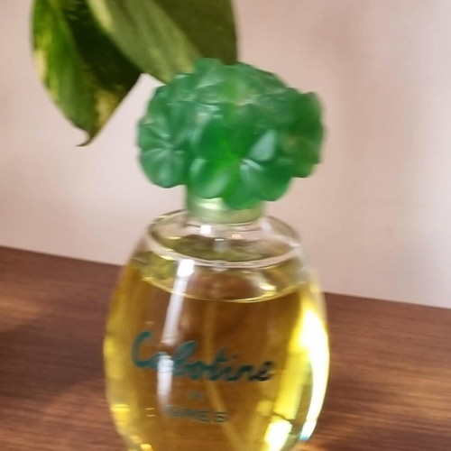Gres Cabotine Eau de Parfum 100ml used