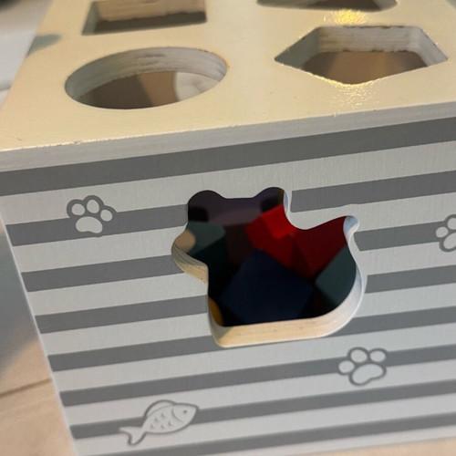 Viga Wooden Shape Cube like new with sounds