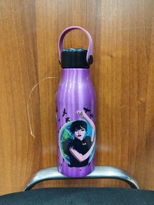 Wednesday water bottle new with tags