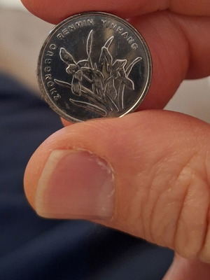 Chinese 1 Jiao Coin 0.1 Yuan like new with orchid flowers