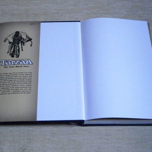Tarzan The Jesse Marsh Years Vol. 4 Dark Horse like new