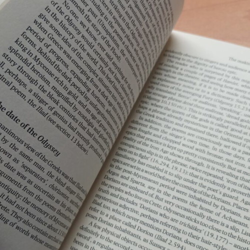 Homer The Odyssey Second Edition book like new
