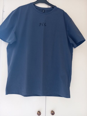 Blue synthetic T-shirt XXL with back design