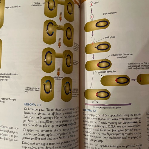 Biology Atlas used, 216 pages, Orosimo editions