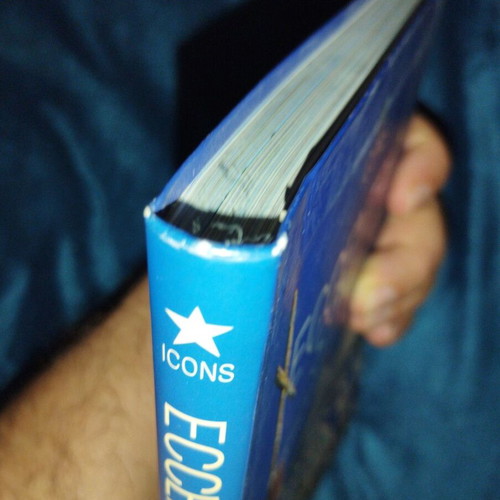 Eccentric Style book like new, English edition
