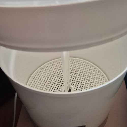 Chicco sterilizer used