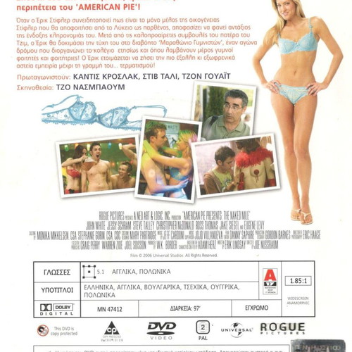 American Pie: The Naked Mile DVD used, comedy with subtitles