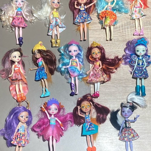 Mattel Enchantimals 14 dolls used, pack