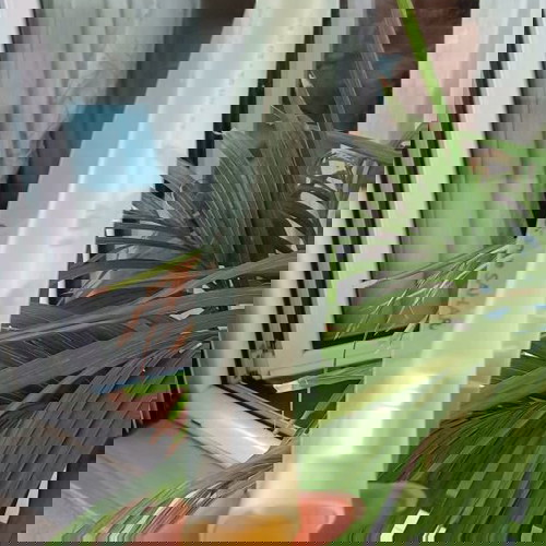 Парфюм Pupa Bouquet 20 мл винтидж пълен