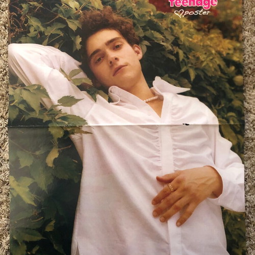Joshua Bassett poster like new from Teenage girl magazine