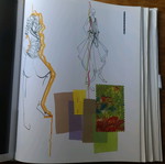 Phaidon fashion book used, 100 designers, English