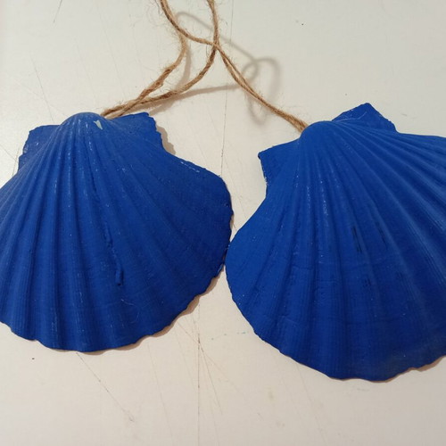 Set of 2 large natural decorative combs made to order
