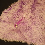 Purple pillowcase 40x40 with zipper