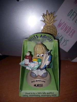 Nuts About Work διακοσμητικό κουκλάκι bobblehead νοσοκόμα καινούργιο