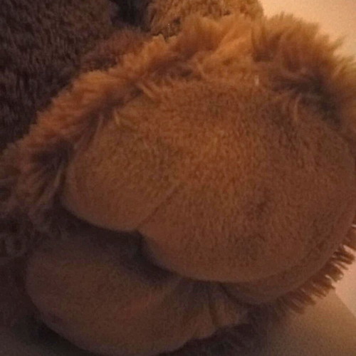 Large Teddy Bear like new, dimensions 64x40