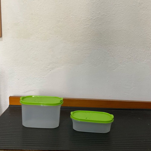 Tupperware set of two technical containers with green lids new