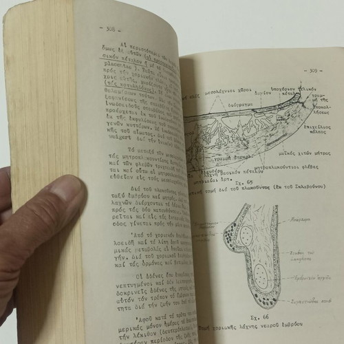 Histology and Embryology Notes and Exercises used, 1962 edition