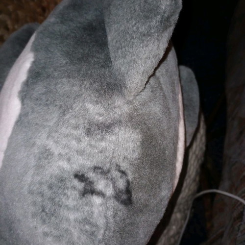 Plush dolphin new, can be used as a pillow