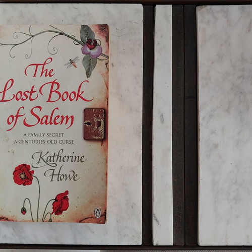 The Lost Book of Salem used book in English