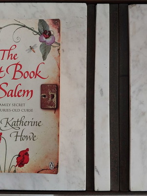 The Lost Book of Salem μεταχειρισμένο βιβλίο στα Αγγλικά
