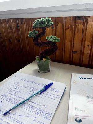 Bonsai tree handmade, new, decorative gift with positive energy