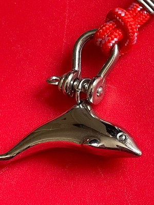 Metal keychain with dolphin like new